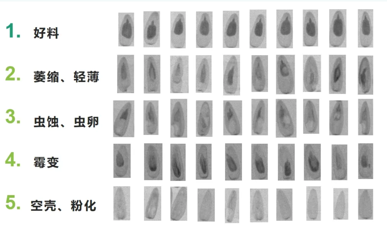 http://ls7437f.cn/Upload/ueditor/1713835443165267.png