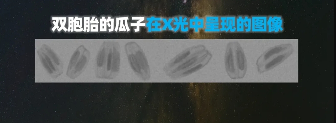 http://ls7437f.cn/Upload/ueditor/1739781751262784.png