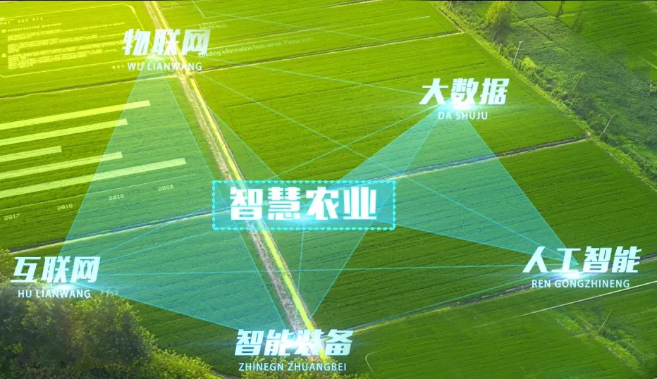 http://ls7437f.cn/Upload/ueditor/1743472775737739.jpg