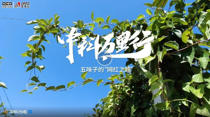 http://ls7437f.cn/Upload/ueditor/1743473521157045.png