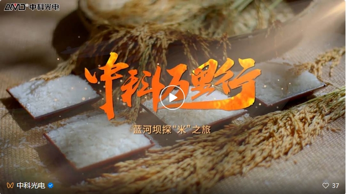 http://ls7437f.cn/Upload/ueditor/1743473561850796.png