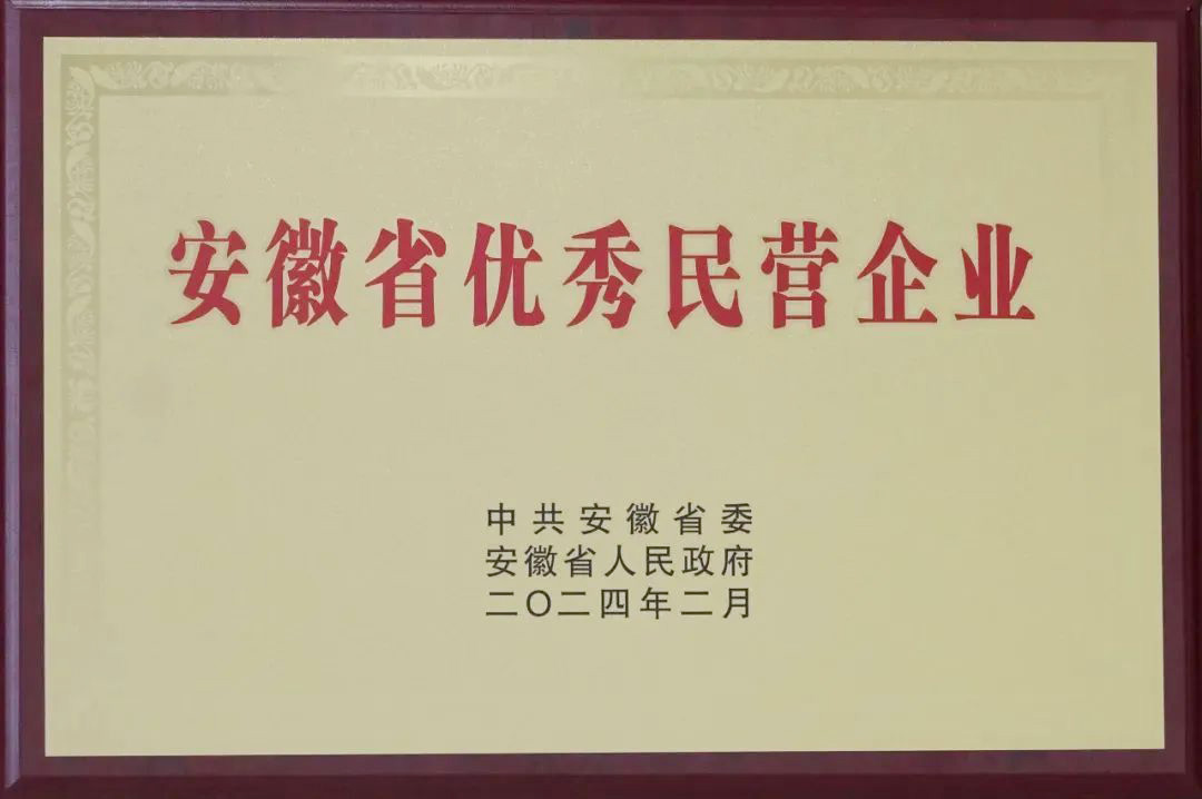 853-安徽省優(yōu)秀民營(yíng)企業(yè)